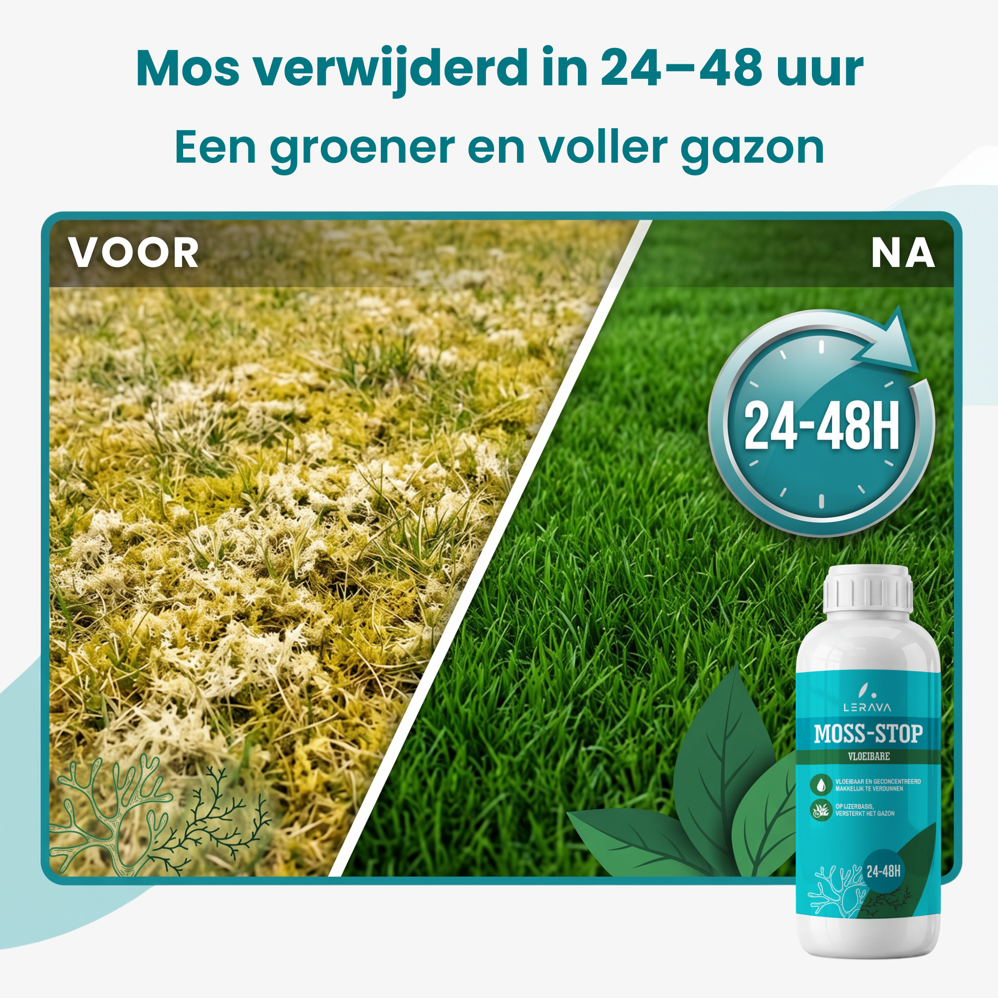  [lang-NL] 