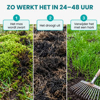  [lang-NL] 