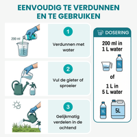  [lang-NL] 