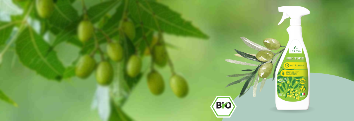 Insecticide écologique à l'huile de neem, nem