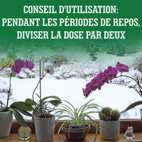 [lang-FR]