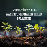 [lang-DE]