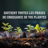 [lang-FR]