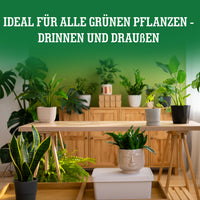 [lang-DE]