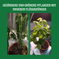 [lang-DE]