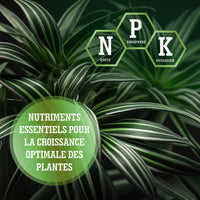[lang-FR]