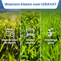 [lang-NL]