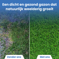[lang-NL]