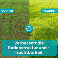 [lang-DE]