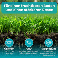 [lang-DE]