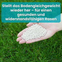 [lang-DE]