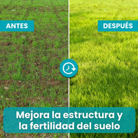 [lang-ES]