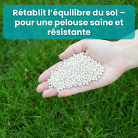 [lang-FR]