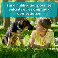 [lang-FR]
