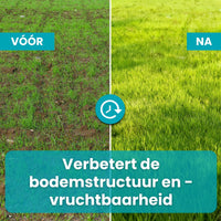 [lang-NL]
