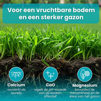 [lang-NL]