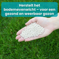 [lang-NL]