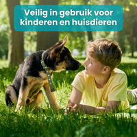 [lang-NL]