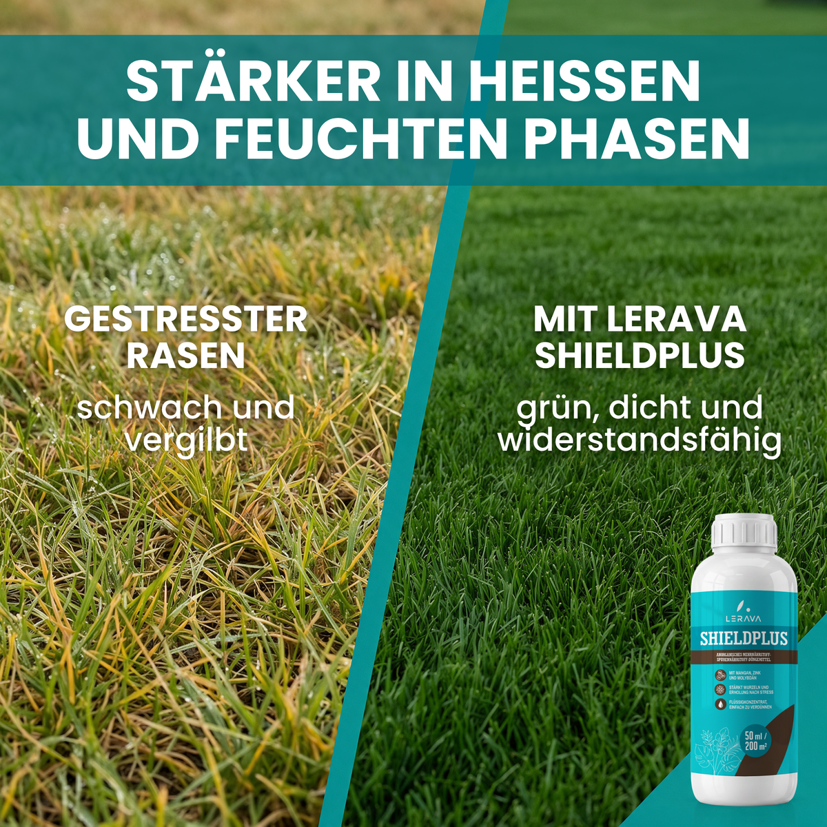[lang-DE]