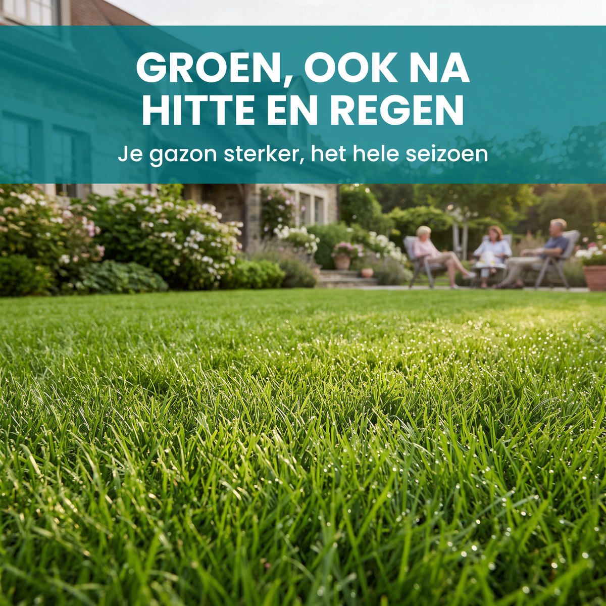 [lang-NL]