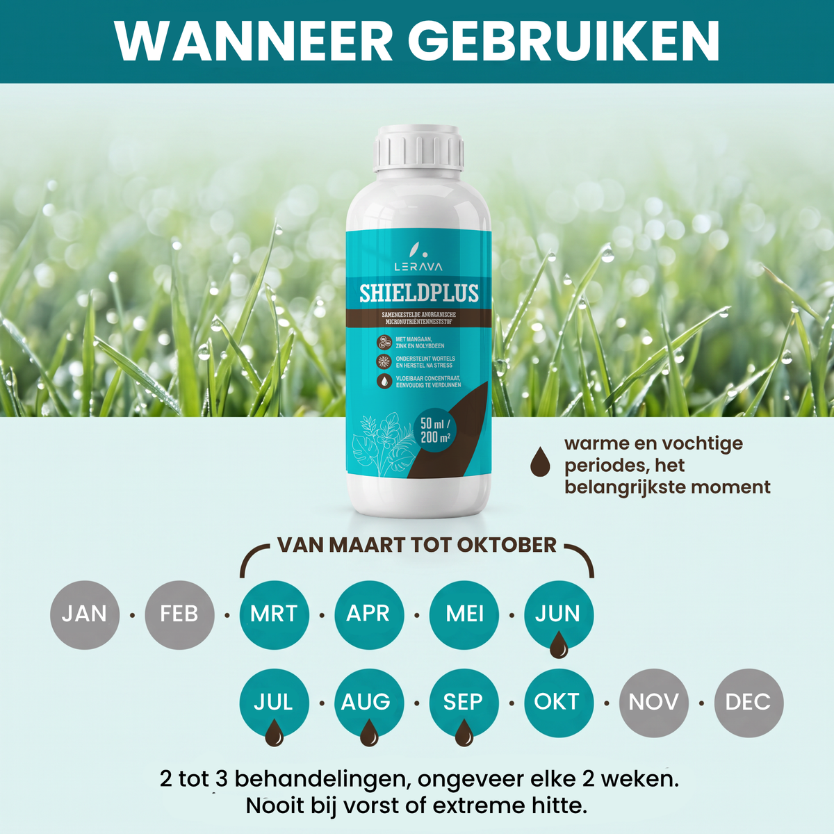 [lang-NL]