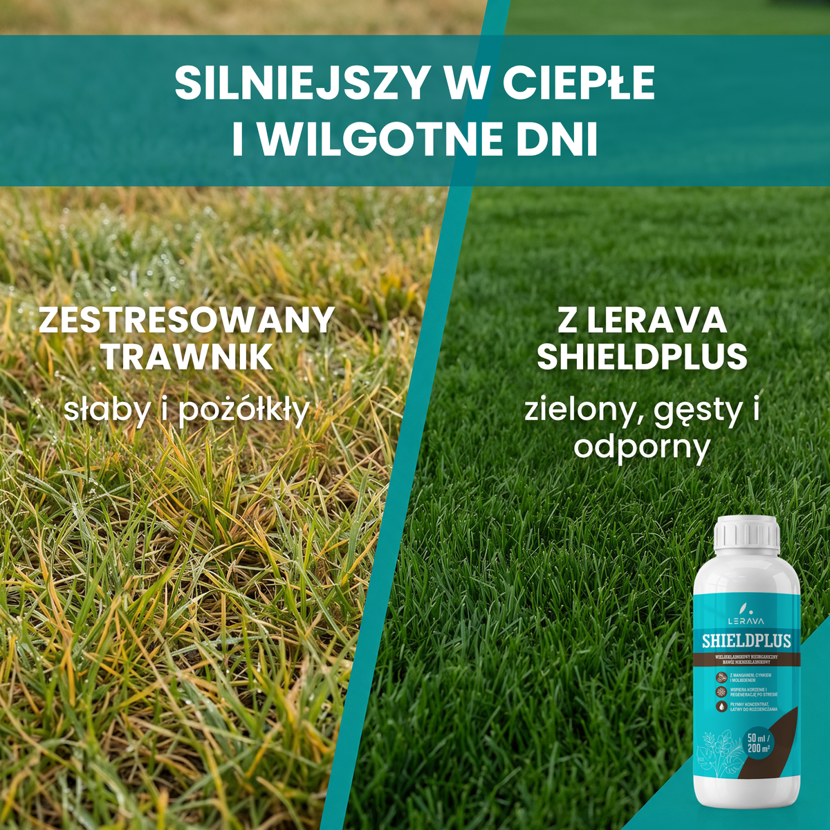[lang-PL]