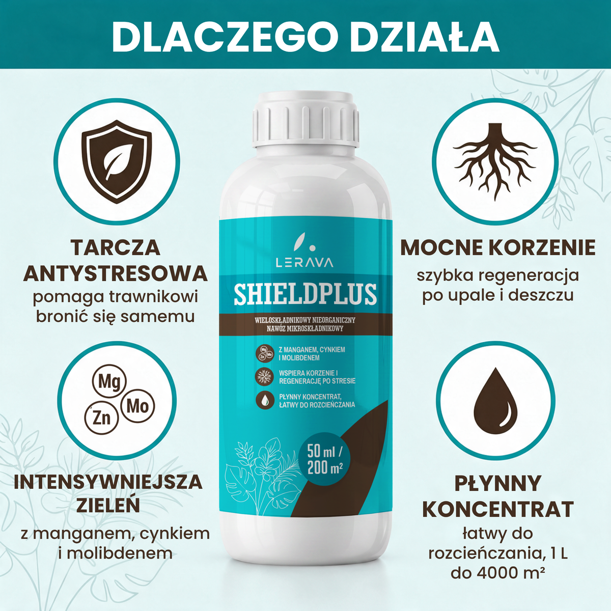 [lang-PL]