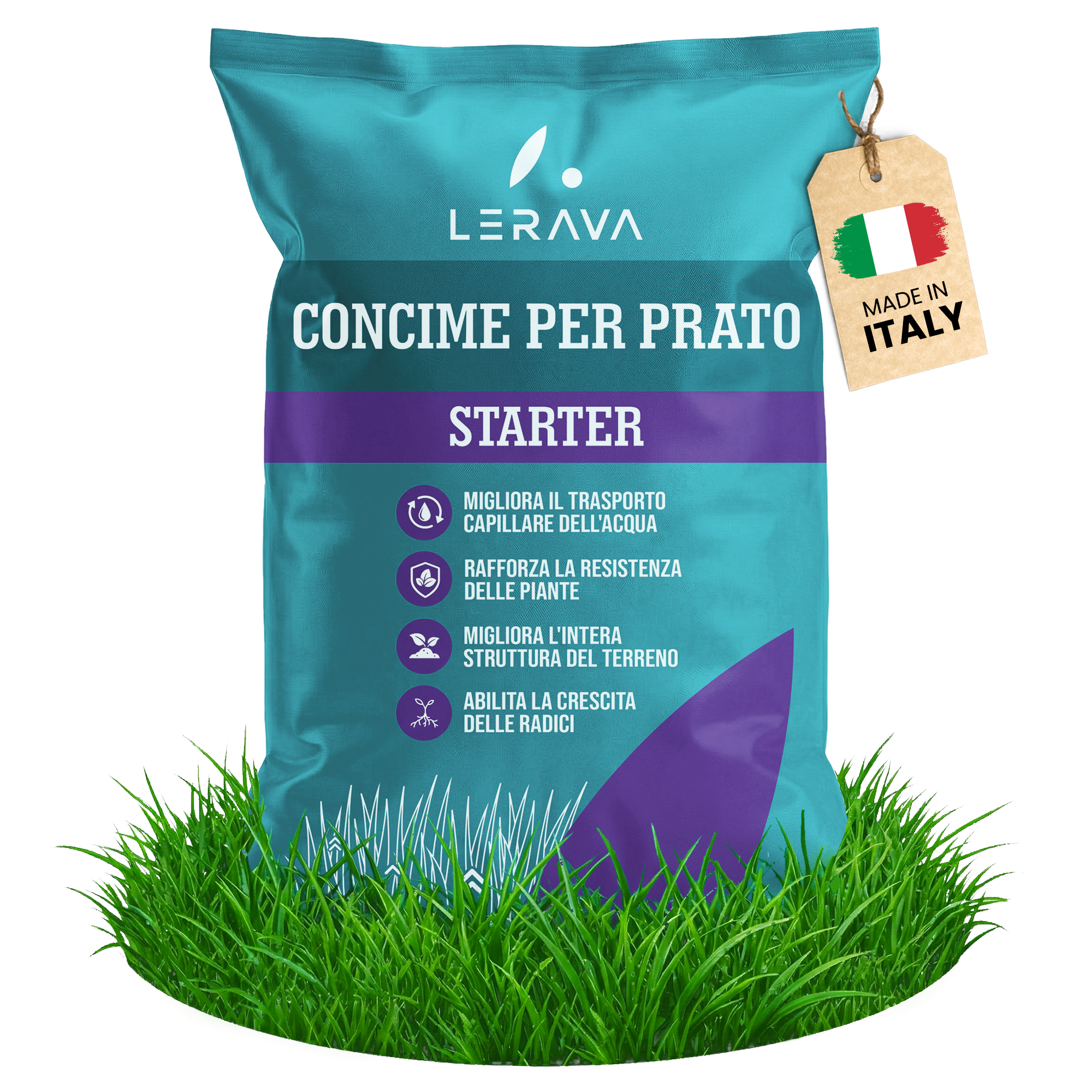 #starter [sku-A0163] [sku-A0011] [sku-A0164] [sku-A0066] [sku-A0404] [sku-A0021] [sku-A0067] [sku-A0405] [lang-IT]