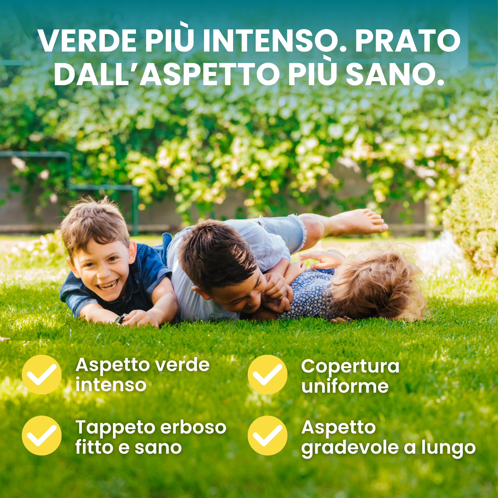 [lang-IT]