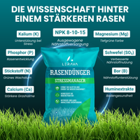 [lang-DE]