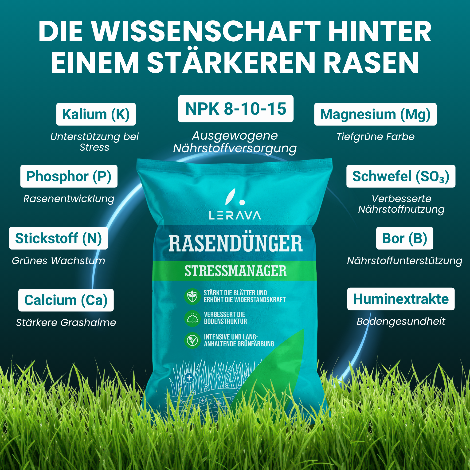 [lang-DE]
