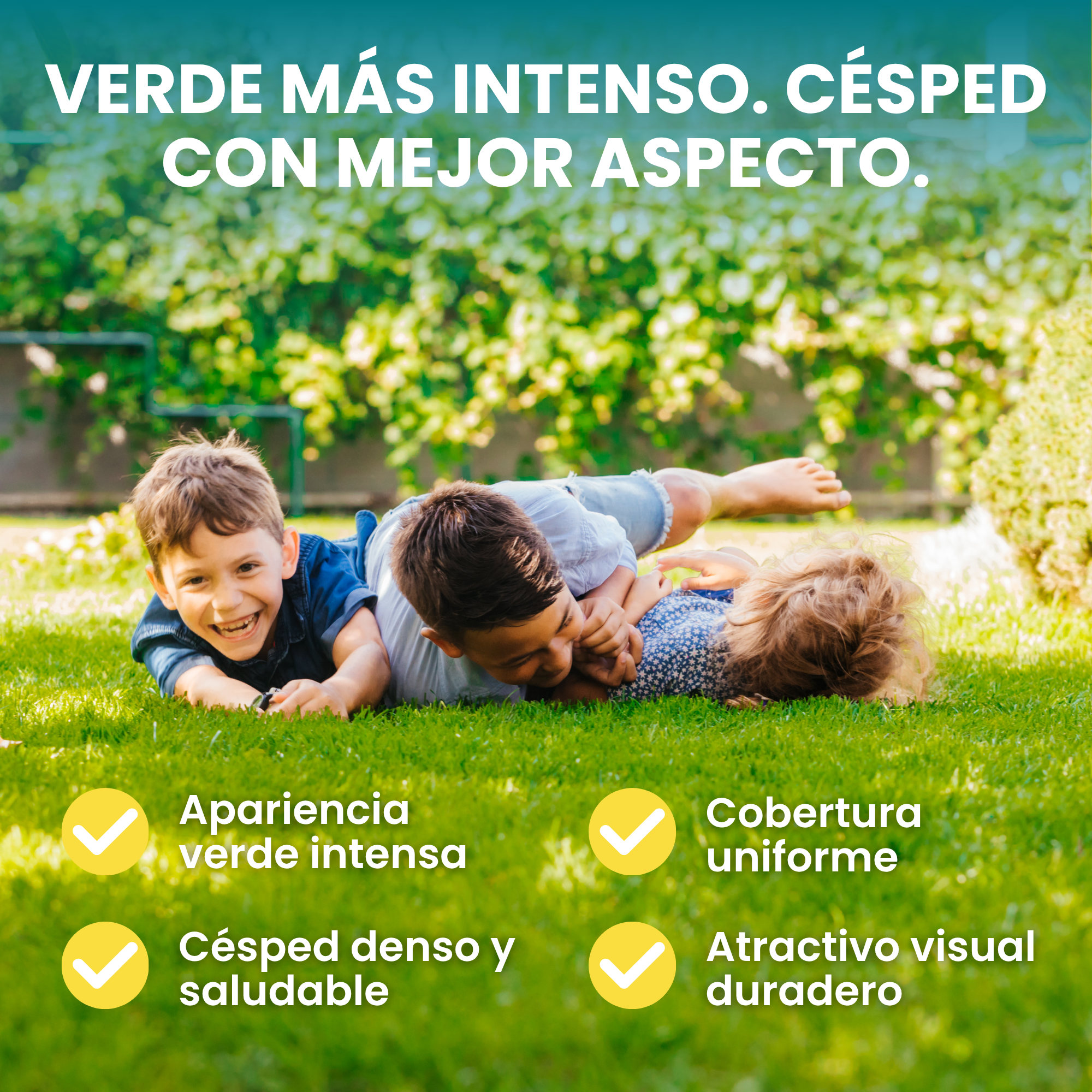 [lang-ES]