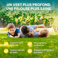 [lang-FR]