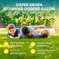 [lang-NL]