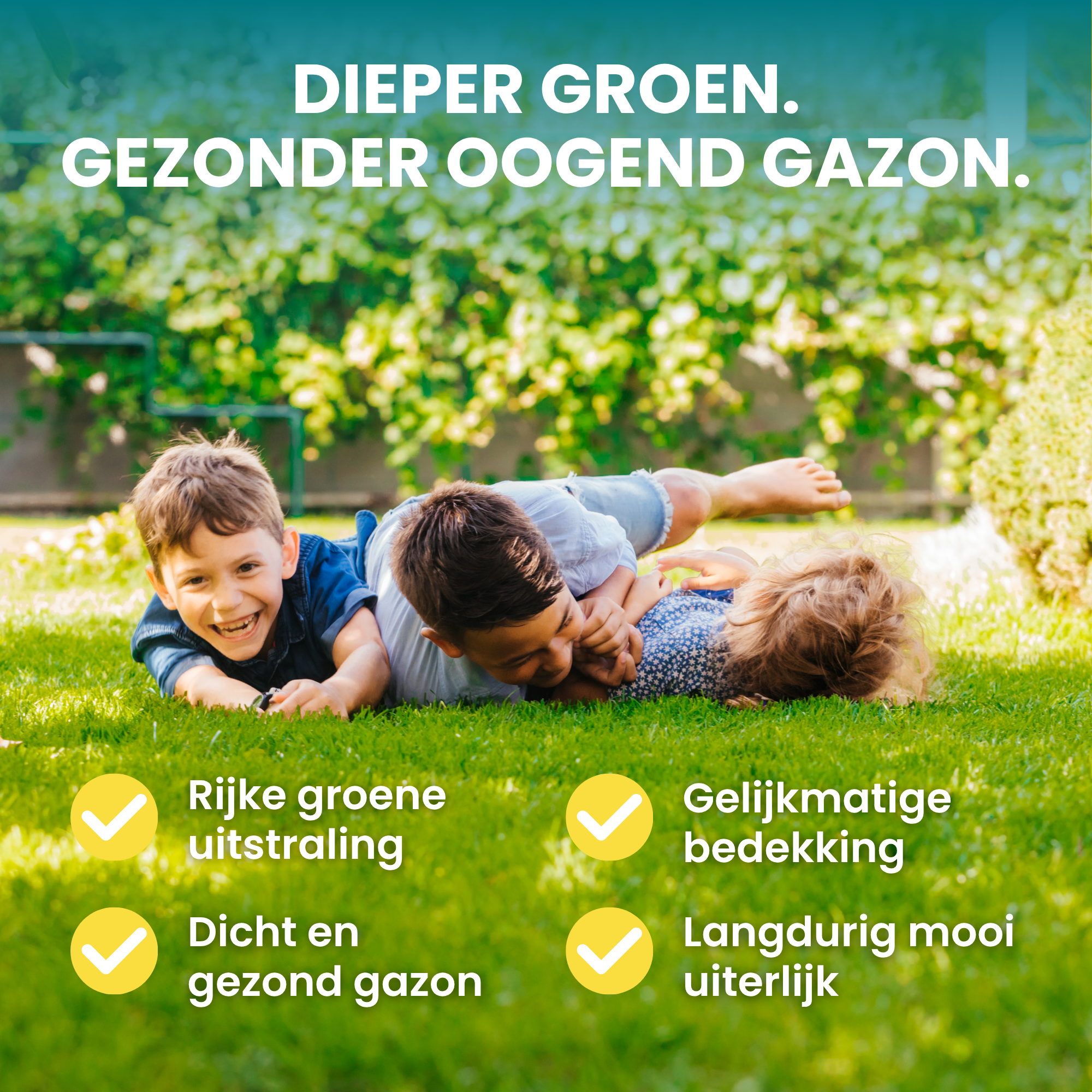 [lang-NL]