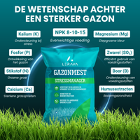 [lang-NL]
