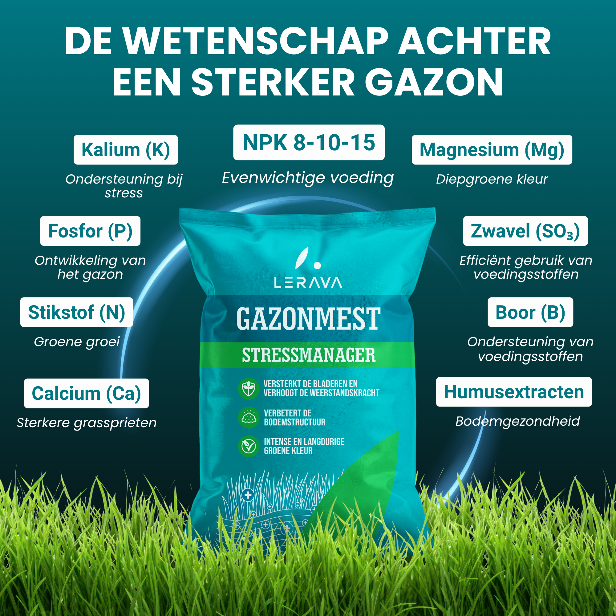 [lang-NL]