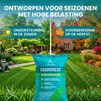 [lang-NL]