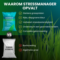 [lang-NL]