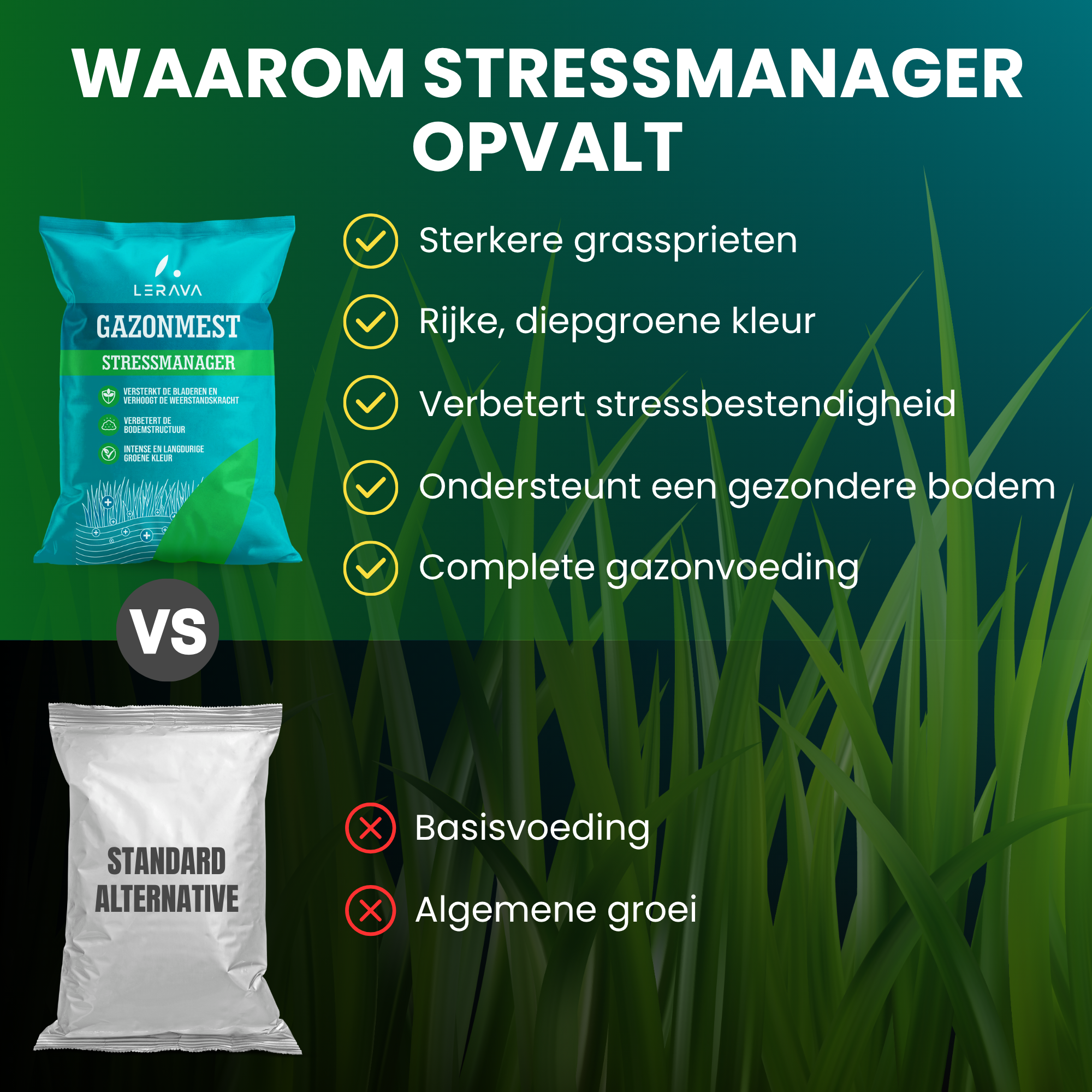 [lang-NL]