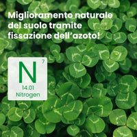 [lang-IT]