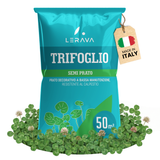 #Taglia_50m² [sku-A0220] [lang-IT]