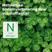 [lang-NL]