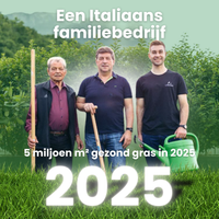 [lang-NL]