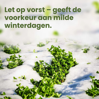 [lang-NL]