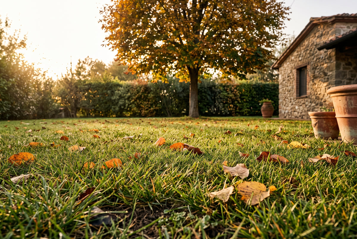 Kit Autunno LERAVA — cinque prodotti per la rigenerazione autunnale, su un prato al primo mattino