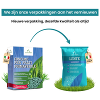 [lang-NL]