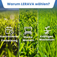 [lang-de]