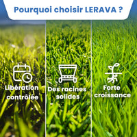 [lang-fr]