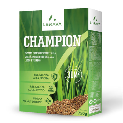 Champion - lawn seeds
